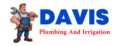 Trusted plumber in SUMMERS